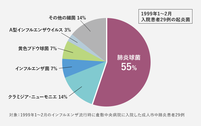 インフルエンザ流行時に肺炎で入院した患者の原因菌として、肺炎球菌が一番多い 全体の55%を占めている