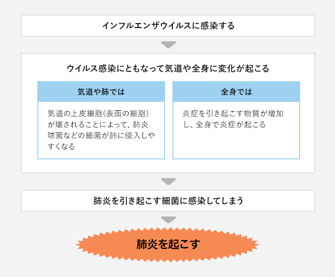 インフルエン ザをきっかけに、肺炎を起こすことがある ウィルス感染にともない、気道や全身に変化が起こる 肺炎を引き起こす細菌に感染してしまう 肺炎を起こす