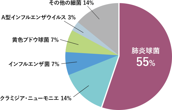 肺炎球菌55%、クラミジア・ニューモニエ14%、インフルエンザ菌7%、黄色ブドウ球菌7%、A型インフルエンザウイルス3%、その他の細菌14%