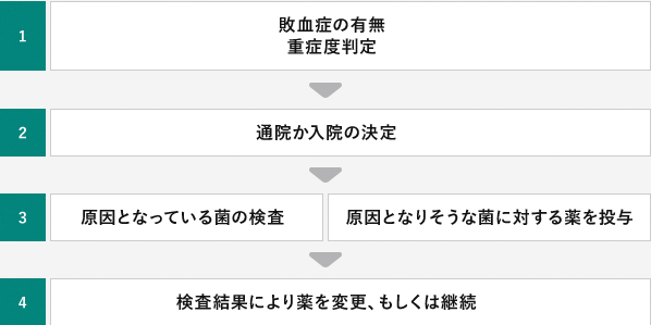 1. 敗血症の有無/重症度判定→2. 通院か入院の決定→3. 原因となっている菌の検査/原因となりそうな菌に対する薬を投与→4. 検査結果により薬を変更、もしくは継続
